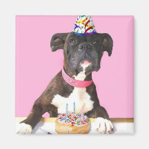 Happy Birthday Boxer dog magnet