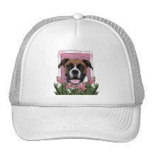 Happy Birthday - Boxer - Vindy Mesh Hats
