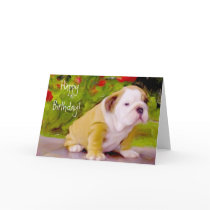Happy Birthday Bulldog puppy art greeting card