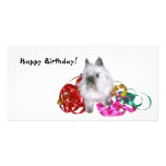 Happy Birthday Bunny photo cards