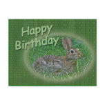 Happy Birthday Bunny Rabbit Cordinating Items Postcards