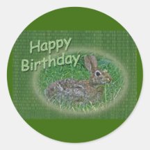 Happy Birthday Bunny Rabbit Cordinating Items Round Sticker