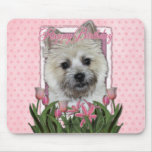 Happy Birthday - Cairn Terrier - Teddy Bear