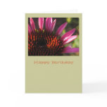 Happy Birthday cards