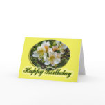 happy birthday greeting cards