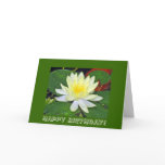 HAPPY BIRTHDAY! CARDS