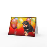 Happy Birthday cards
