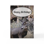 Happy Birthday! Greeting Cards