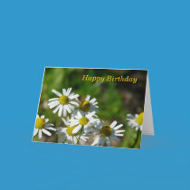 Happy Birthday cards