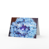 Happy Birthday Cards