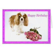 Happy Birthday Cavalier King Charles Spaniel Card