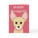 Happy Birthday Chihuahua cards