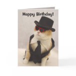 Happy Birthday, Cool Cat! cards