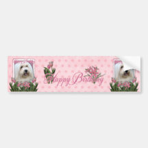 Happy Birthday - Coton de Tulear Bumper Sticker
