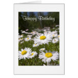 Happy Birthday Daisies Flower Garden Greeting Card