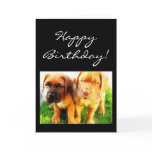 Happy Birthday Dogue de Bordeaux greeting card