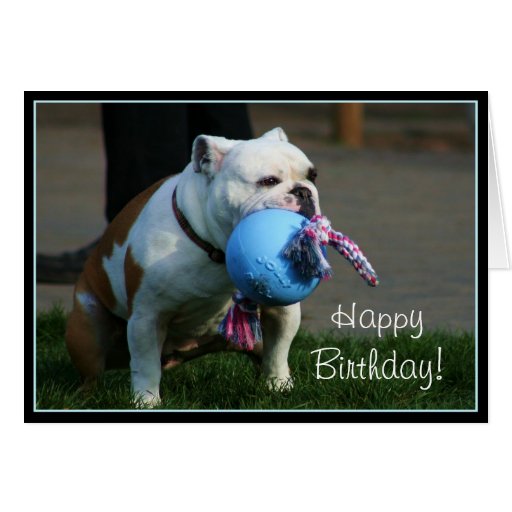 Happy Birthday English Bulldog greeting card | Zazzle