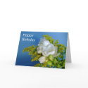 Happy Birthday - Freesia Card