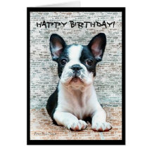 Happy Birthday French Bulldog greeting card