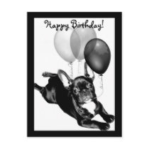 Happy Birthday French Bulldog postcard