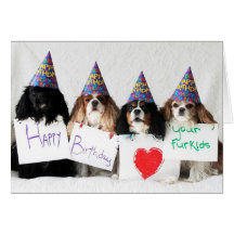 Happy Birthday from the Day Dog Cavaliers Greeting Cards