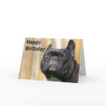 Happy Birthday Fun - Paris Merille Cards