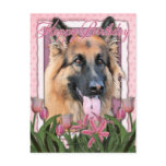 Happy Birthday - German Shepherd - Long Haired postcards