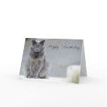 Happy Birthday Gray Cat Greeting Cards