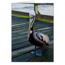 Happy Birthday/Greeting Card