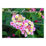 Happy Birthday! Greeting Cards