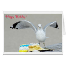 Happy Birthday Greeting Cards