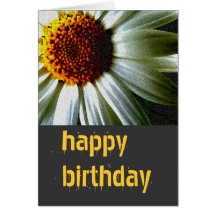 Happy Birthday Greeting Cards