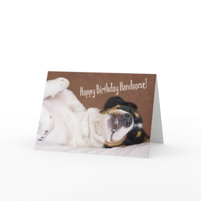 Happy Birthday Handsome Greeting Card by waggytails