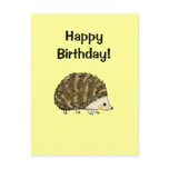 Happy birthday! (hedgehog) post card