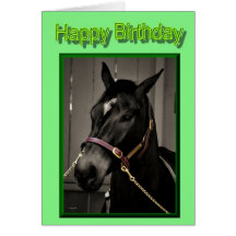 Happy Birthday Horse Birthday mare stallion foal Cards