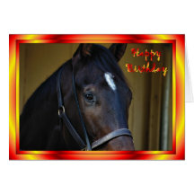 Happy Birthday Horse Birthday mare stallion foal Greeting Card