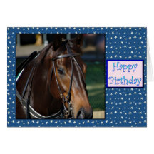 Happy Birthday Horse Birthday mare stallion foal Greeting Card