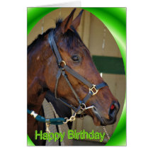 Happy Birthday Horse Birthday mare stallion foal Greeting Card