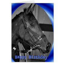 Happy Birthday Horse Birthday mare stallion foal Card