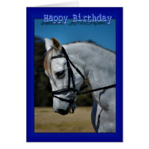 Happy Birthday Horse Birthday mare stallion foal Cards