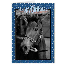 Happy Birthday Horse Birthday mare stallion foal Greeting Card