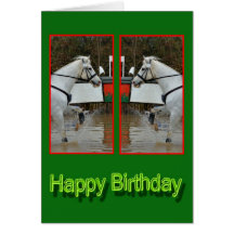 Happy Birthday Horse Birthday mare stallion foal Card