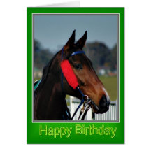 Happy Birthday Horse Birthday mare stallion foal Card