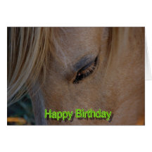 Happy Birthday Horse Birthday mare stallion foal Cards