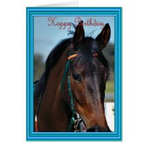 Happy Birthday Horse Birthday mare stallion foal Greeting Cards