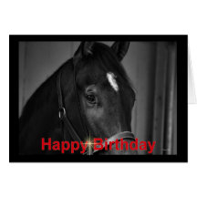 Happy Birthday Horse Birthday mare stallion foal Greeting Card