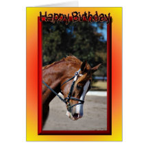 Happy Birthday Horse Birthday mare stallion foal Greeting Cards