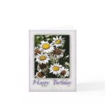 Happy Birthday in Cosmos Aster cards