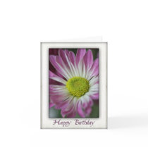 Happy Birthday in Daisy