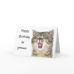Happy Birthday kitten cards